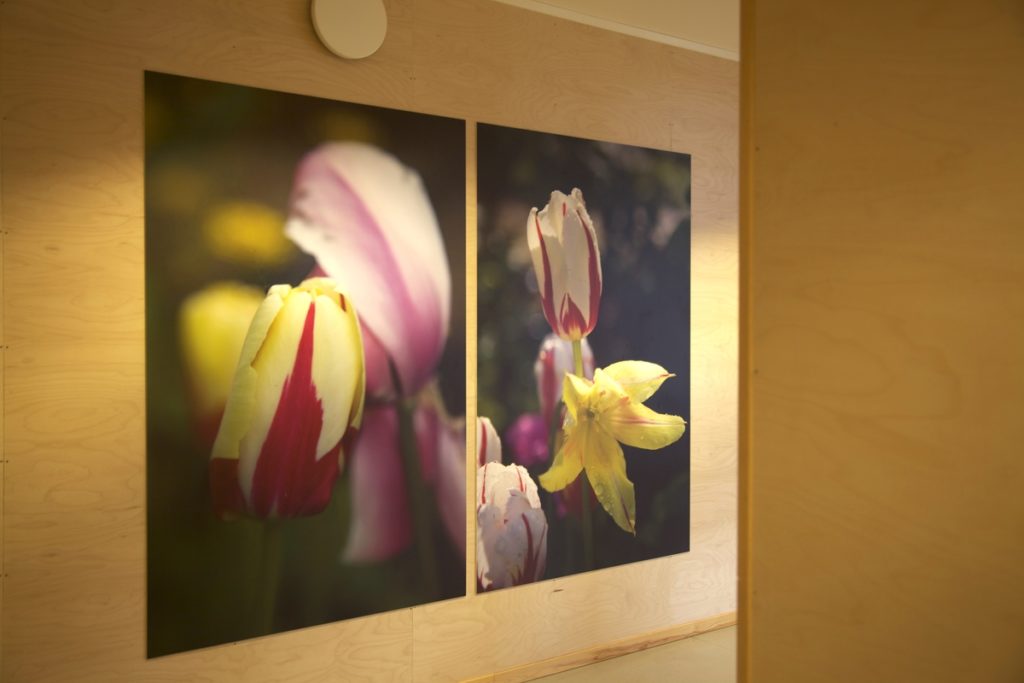 <em>Tommelise</em>, Jenny-Marie Johnsen. Photographer: Jenny-Marie Johnsen