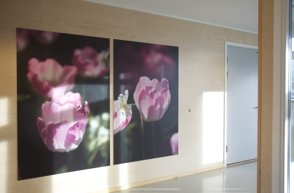 <em>Tommelise</em>, Jenny-Marie Johnsen. Photographer: Jenny-Marie Johnsen