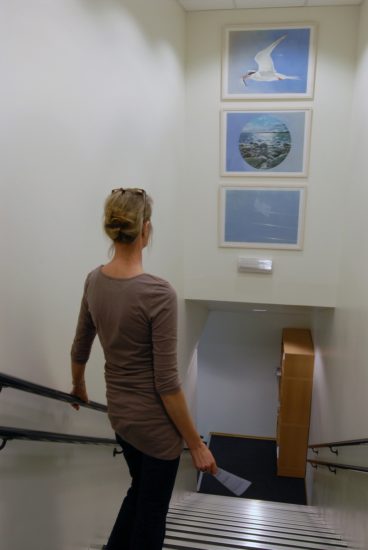 <em>Paradishage</em>, Tina Mareen Buddeberg. Photographer: Sidsel Jørgensen