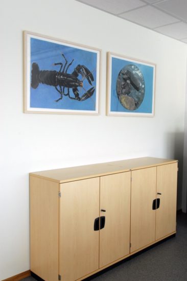 <em>Paradishage</em>, Tina Mareen Buddeberg. Photographer: Sidsel Jørgensen