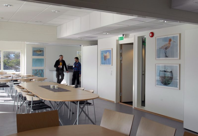 <em>Paradishage</em>, Tina Mareen Buddeberg. Photographer: Sidsel Jørgensen