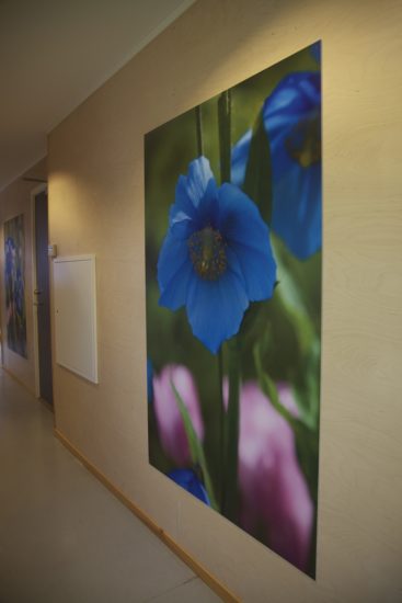 <em>Tommelise</em>, Jenny-Marie Johnsen. Photographer: Jenny Marie Johnsen