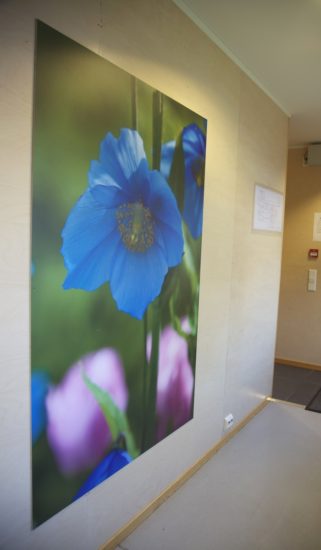 <em>Tommelise</em>, Jenny-Marie Johnsen. Photographer: Jenny-Marie Johnsen