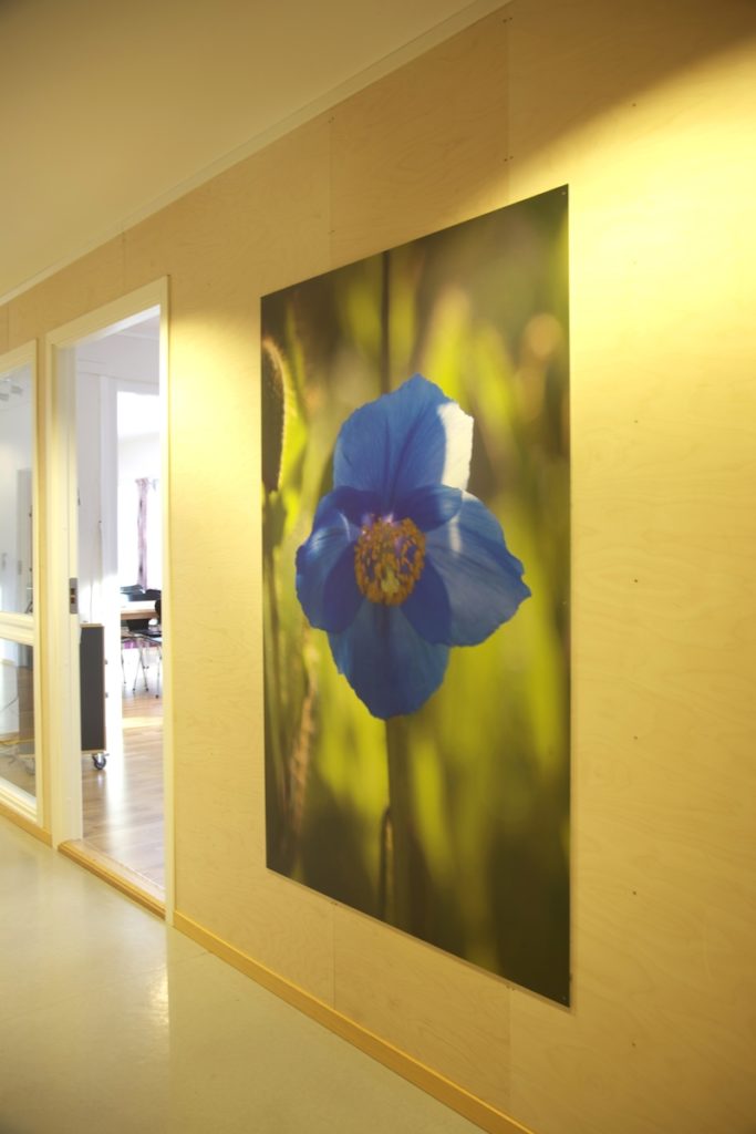 <em>Tommelise</em>, Jenny-Marie Johnsen. Photographer: Jenny-Marie Johnsen