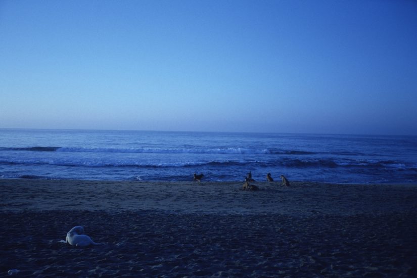 <em>Ved soloppgang - Zipolite</em>, Monica Winther. Photographer: Thora Dolven Balke