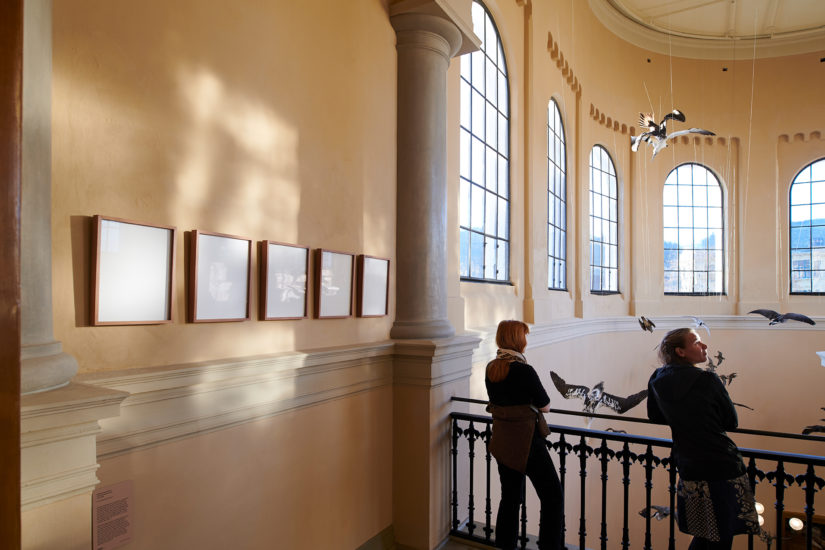 <em>Vi skal ikke lage lærebøker (2019-2028)</em>, Marthe Ramm Fortun. Photographer: Pål Hoff
