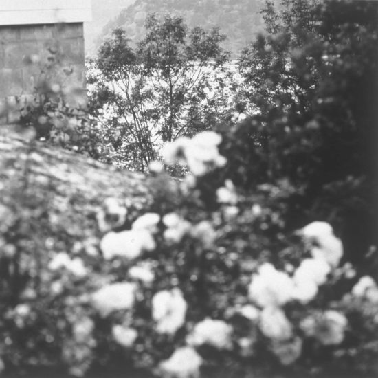 <em>Billedserie fra Hvasser</em>, Dag Alveng. Photographer: Jiri Havran (duplikat av storformat?)
