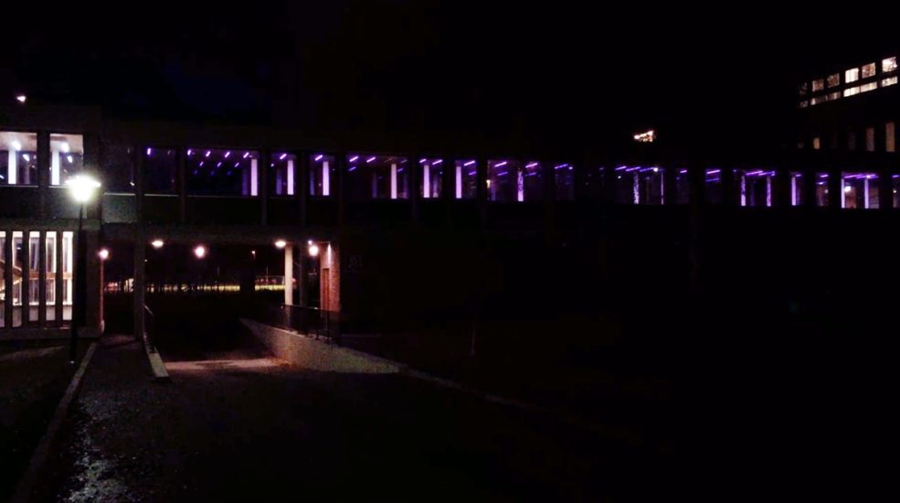<em>Untitled (Randomized Motion Tracker)</em>, Børre Sæthre. Photographer: Børre Sæthre