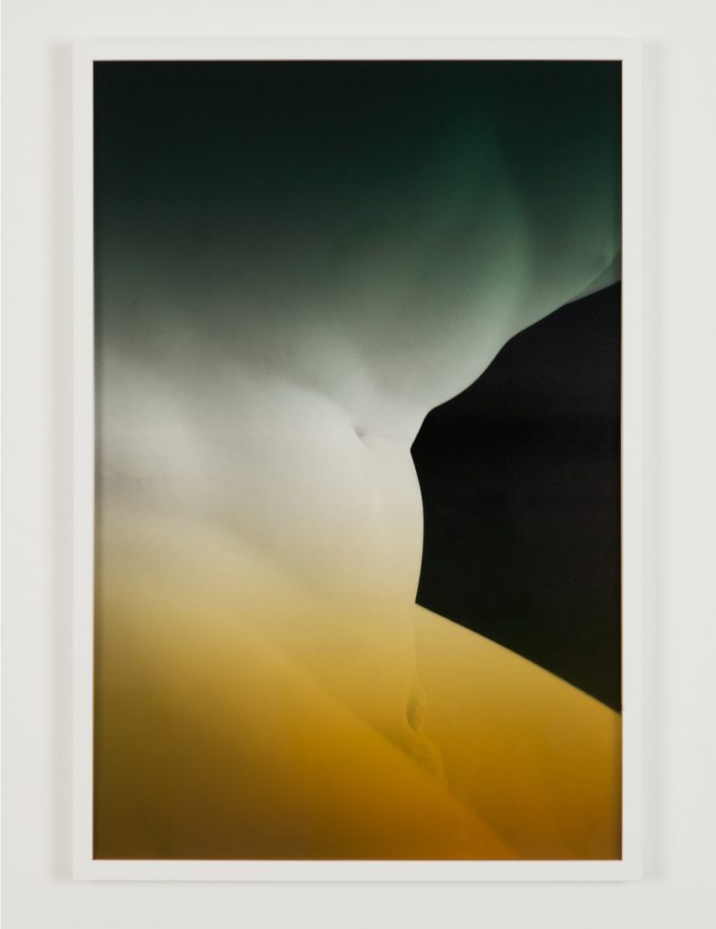 <em>Faded Remains (Ilioneus)</em>, Espen Gleditsch. Photographer: Thor Brødreskift