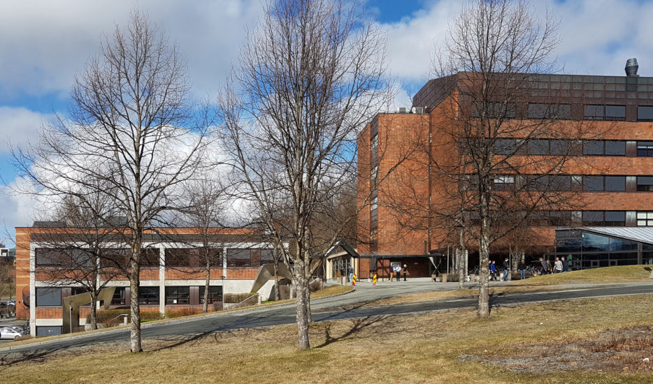 Tre på rekke (1 og 2), Espen Gangvik. Fotograf: Cathrine Wang / KORO