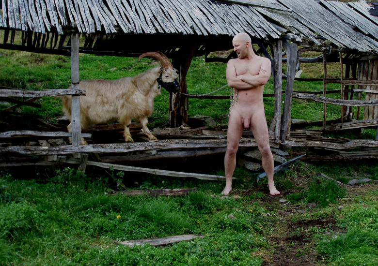 <em>Animal alpha</em>, Gjert Rognli. Photographer: Gjert Rognli