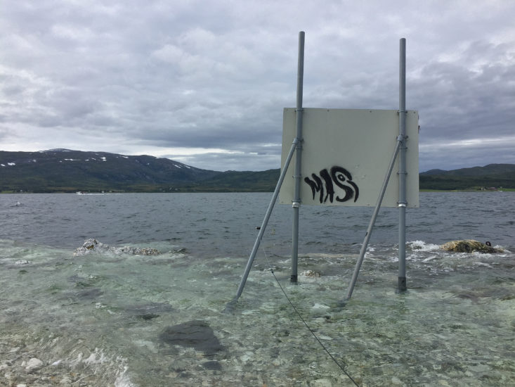 <em>Lydopptak, Tromsø Sonarium - 69°39'07'N 018°57'12'Ø</em>, Alexander Rishaug. Photographer: Alexander Rishaug