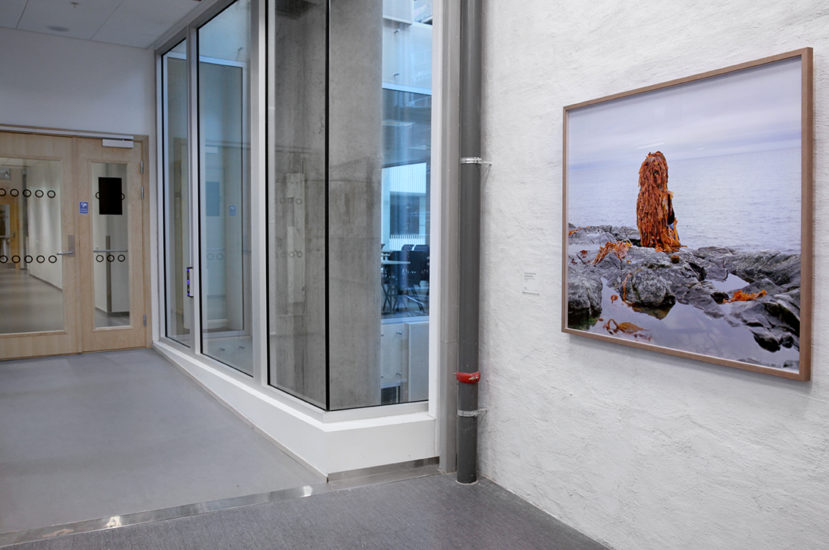 Time is a ship that never casts anchor # Ester, Karoline Hjorth, Riitta Ikonen. Fotograf: Karoline Hjorth