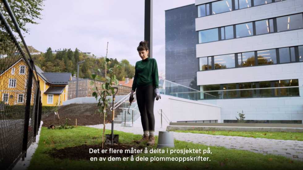 Plommetrærne på Alrek, Amber Ablett. Fotograf: Stills