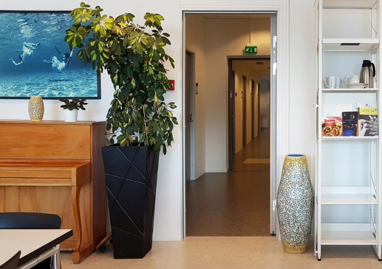 <em>Slyngplante</em>, Tor Alex Erichsen. Photographer: Cathrine Wang / KORO