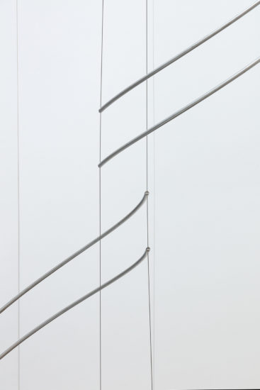 Bølgetre, Reinhard Haverkamp. Fotograf: Werner Zellien