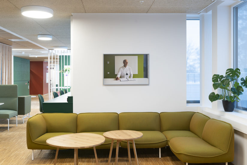 Eg treng, Sigmund Skard. Fotograf: Thor Brødreskift
