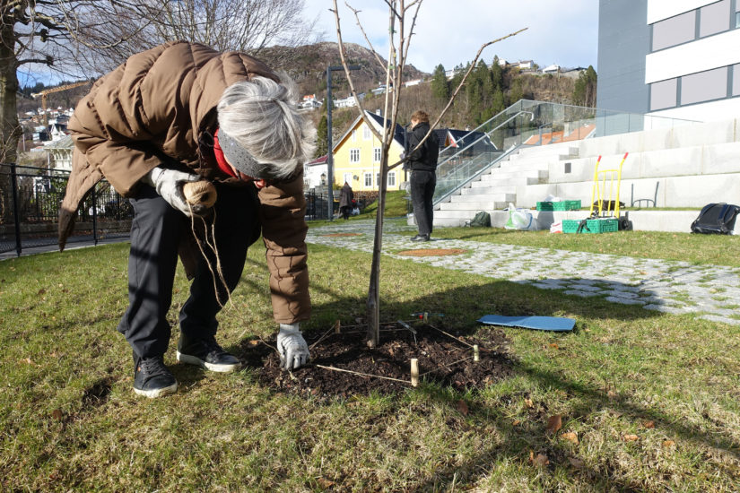 <em>WEB-MARCH-22-</em>
