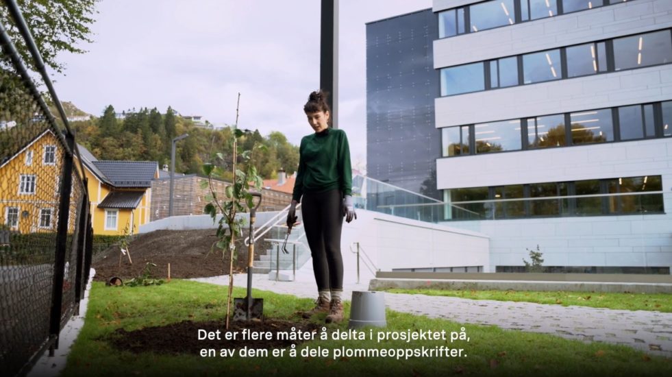 <em>Plommetrærne på Alrek</em>, Amber Ablett. Photographer: Stills