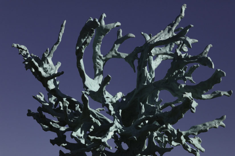 Feeding from the Tree of Knowledge, Kathrin Schlegel. Fotograf: Werner Zellien