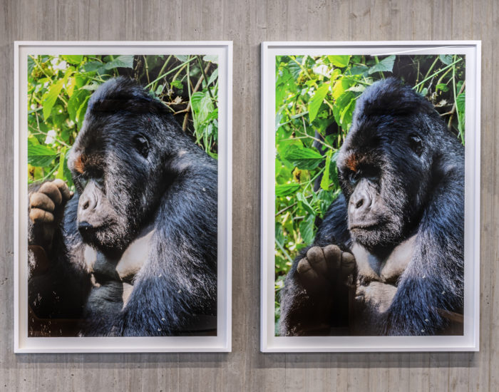 <em>Humans, On the Other Hand, Lied Easily and Often (2)</em>, Sandra Mujinga. Photographer: Øystein Thorvaldsen