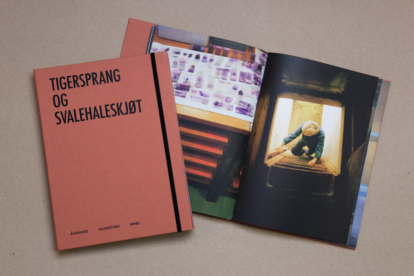 Tigersprang og svalehaleskjøt, Line Bøhmer Løkken. Fotograf: Vidar Pedersen