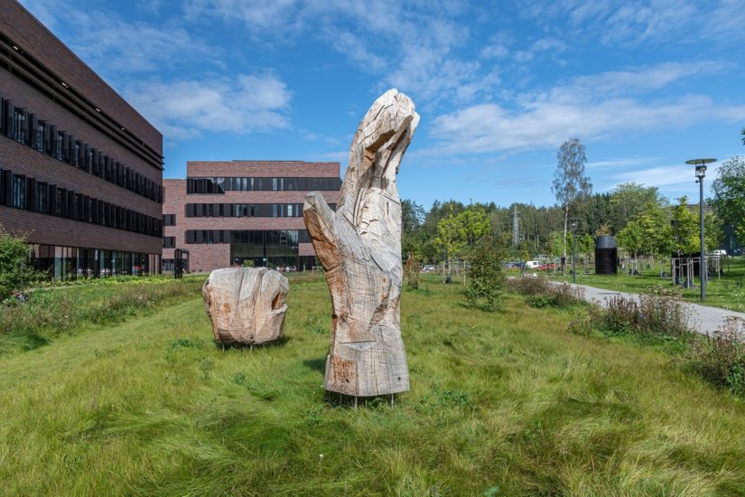 <em>Doxa</em>, Gunvor Nervold Antonsen. Photographer: Øystein Thorvaldsen