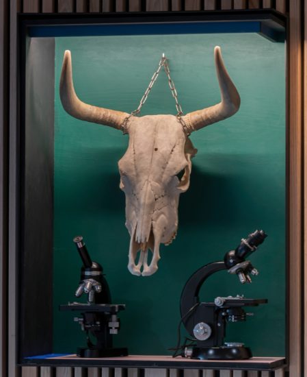 <em>Jeg søkte en kilde og fant et hav (Simia, Cetacea, Castor, Ovibos, Trichobezoar, Rangifer, Bos, Pulmones, Pelvis, Canis)</em>, Jon Gundersen, Elise Storsveen. Photographer: Øystein Thorvaldsen