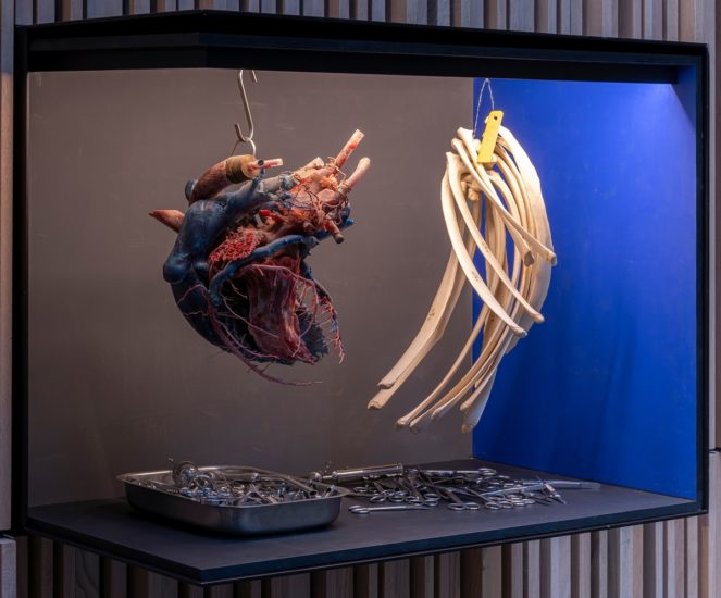 <em>Jeg søkte en kilde og fant et hav (Simia, Cetacea, Castor, Ovibos, Trichobezoar, Rangifer, Bos, Pulmones, Pelvis, Canis)</em>, Jon Gundersen, Elise Storsveen. Photographer: Øystein Thorvaldsen