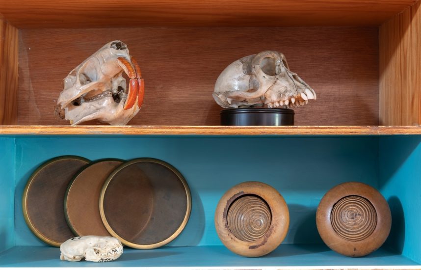 <em>Jeg søkte en kilde og fant et hav (Simia, Cetacea, Castor, Ovibos, Trichobezoar, Rangifer, Bos, Pulmones, Pelvis, Canis)</em>, Jon Gundersen, Elise Storsveen. Photographer: Øystein Thorvaldsen