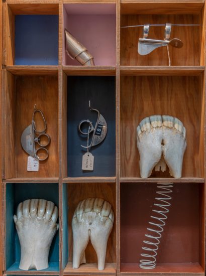 <em>Jeg søkte en kilde og fant et hav (Simia, Cetacea, Castor, Ovibos, Trichobezoar, Rangifer, Bos, Pulmones, Pelvis, Canis)</em>, Jon Gundersen, Elise Storsveen. Photographer: Øystein Thorvaldsen