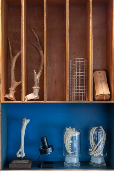 <em>Jeg søkte en kilde og fant et hav (Simia, Cetacea, Castor, Ovibos, Trichobezoar, Rangifer, Bos, Pulmones, Pelvis, Canis)</em>, Jon Gundersen, Elise Storsveen. Photographer: Øystein Thorvaldsen