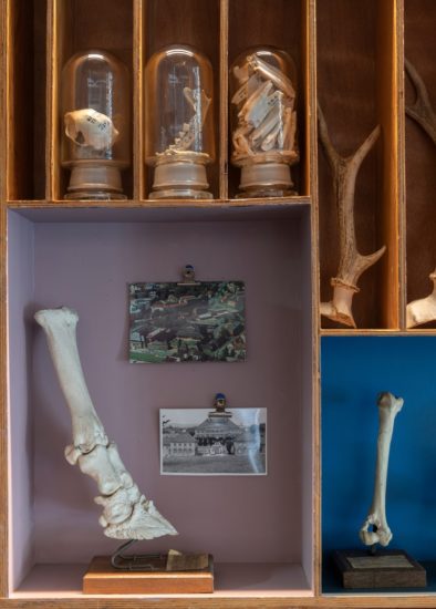 <em>Jeg søkte en kilde og fant et hav (Simia, Cetacea, Castor, Ovibos, Trichobezoar, Rangifer, Bos, Pulmones, Pelvis, Canis)</em>, Jon Gundersen, Elise Storsveen. Photographer: Øystein Thorvaldsen