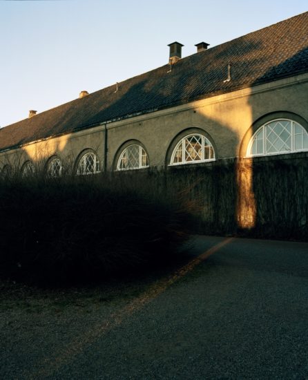 <em>Tigersprang og svalehaleskjøt, vh#422</em>, Line Bøhmer Løkken. Photographer: Chris Harrison