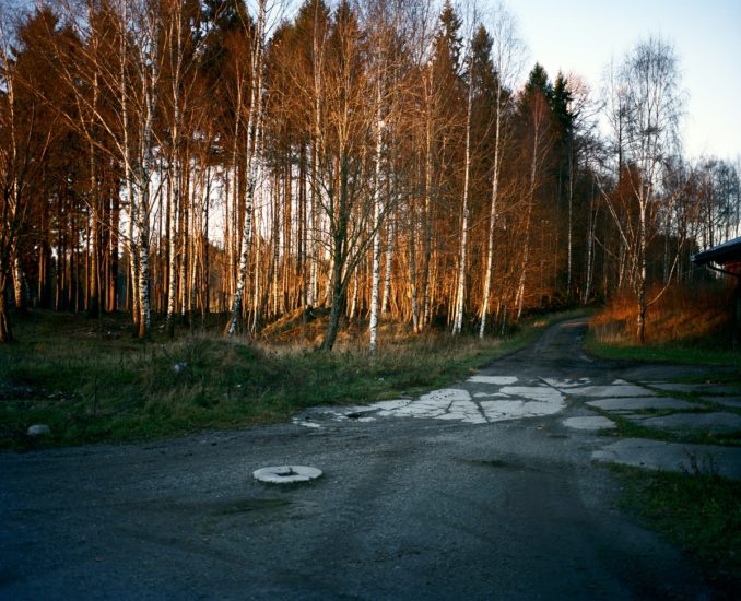 <em>Tigersprang og svalehaleskjøt, ås#346</em>, Line Bøhmer Løkken. Photographer: Forbundet Frie Fotografer
