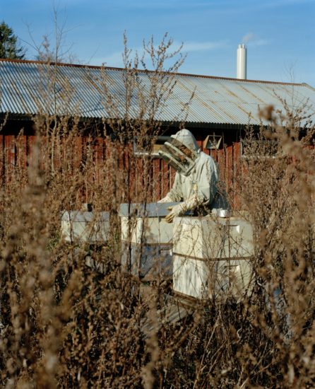 <em>Tigersprang og svalehaleskjøt, ås#268</em>, Line Bøhmer Løkken. Photographer: Forbundet Frie Fotografer
