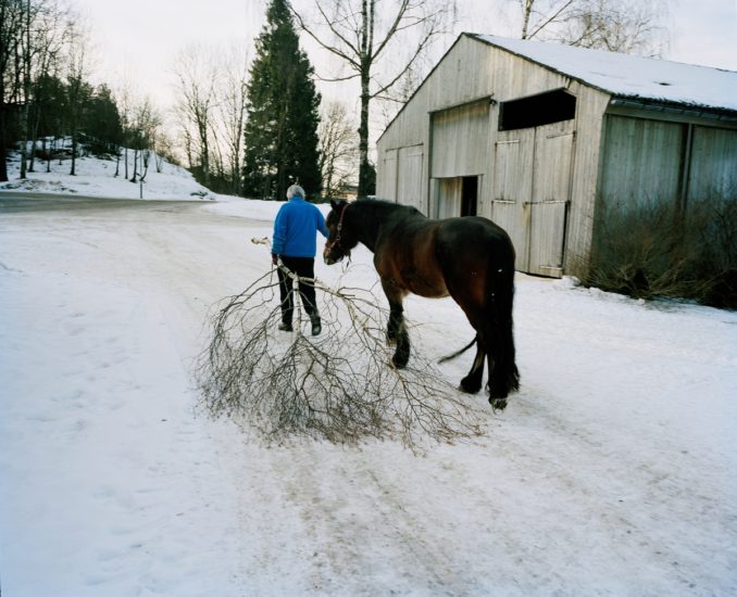 <em>Tigersprang og svalehaleskjøt, ås#66</em>, Line Bøhmer Løkken. Photographer: Forbundet Frie Fotografer