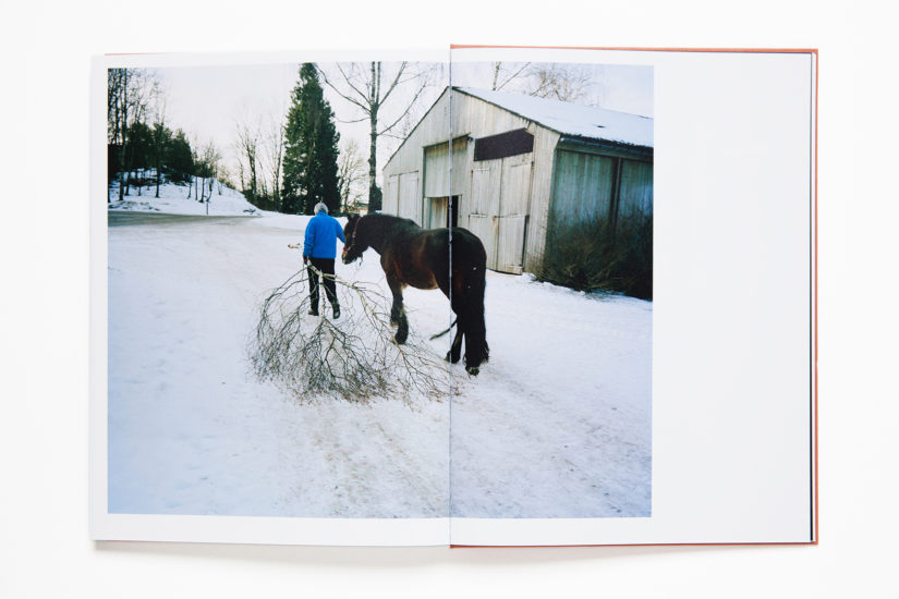 <em>Tigersprang og svalehaleskjøt</em>, Line Bøhmer Løkken. Photographer: Vidar Pedersen