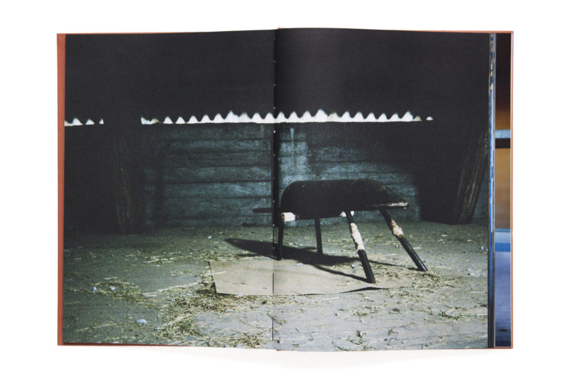<em>Tigersprang og svalehaleskjøt</em>, Line Bøhmer Løkken. Photographer: Vidar Pedersen