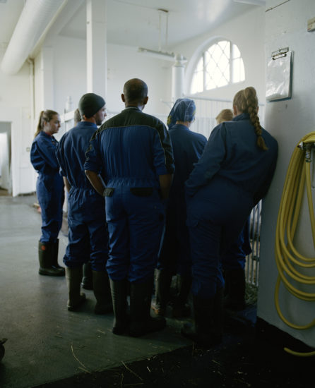 <em>Tigersprang og svalehaleskjøt, vh#86</em>, Line Bøhmer Løkken. Photographer: Chris Harrison