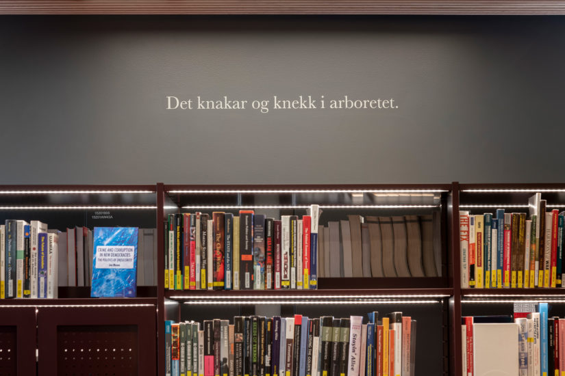 <em>L’arbre à rumeurs</em>, Hanan Benammar. Photographer: Øystein Thorvaldsen