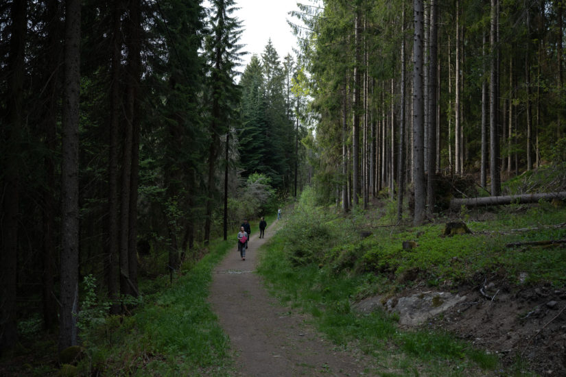 <em>L’arbre à rumeurs</em>, Hanan Benammar. Photographer: Istvan Virag
