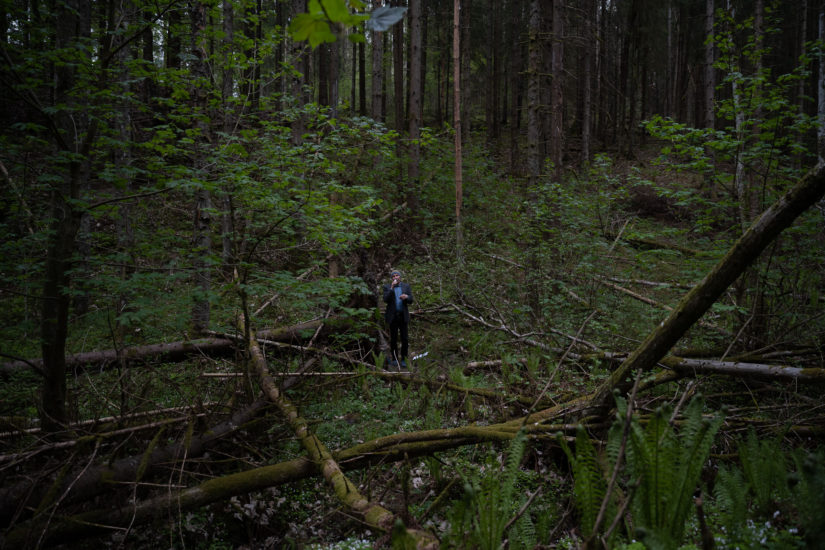 <em>L’arbre à rumeurs</em>, Hanan Benammar. Photographer: Istvan Virag
