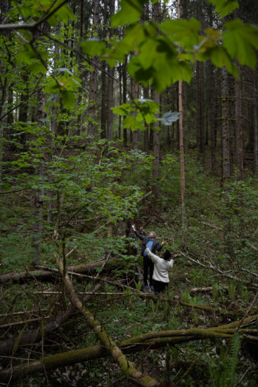 <em>L’arbre à rumeurs</em>, Hanan Benammar. Photographer: Istvan Virag