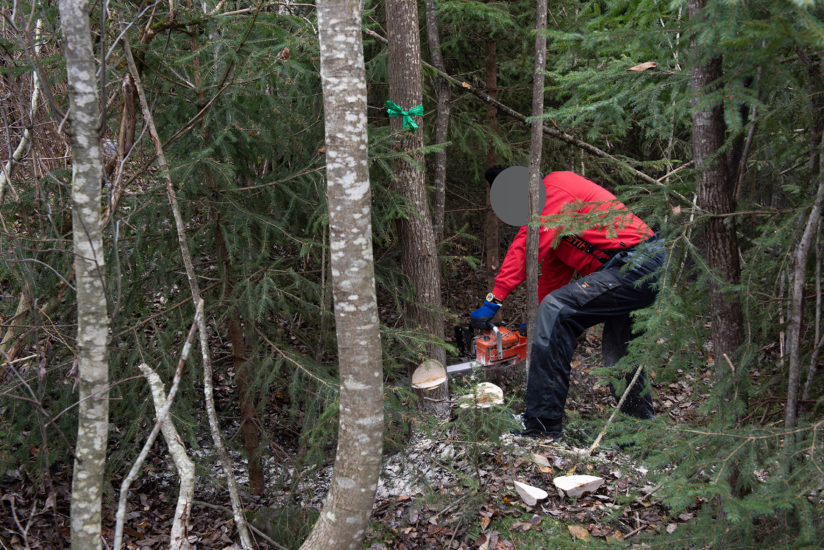 Workshop, Vuogas har sammen med innsatte og ansatte i fengslet, og Rud videregående skole bygget verket Flukthus / Báhtarangoahti. Vougas lea ovttasbargan giddagasain ja virggesain giddagasas, ja Rud joatkkaskuvlla olggobealde oahppiin ráhkadan dáiddadaga Báhtarangoahti / Flukthus. Fotograf: Thomas Tveter